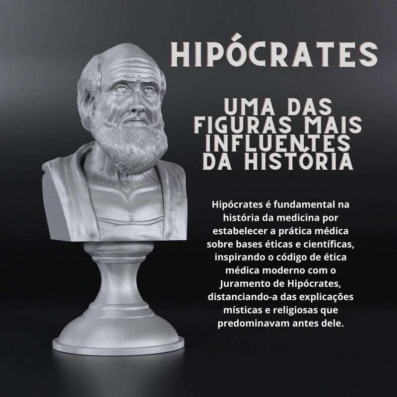 Escultura Busto Hipócrates Pai Da Medicina Decoração